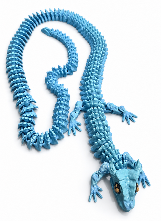 OCEAN TO MEADOW DRAGON